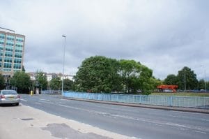 Ash trees by Exe Bridges, Exeter. Copyright Terrence Pickles