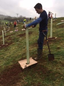 Tree planting