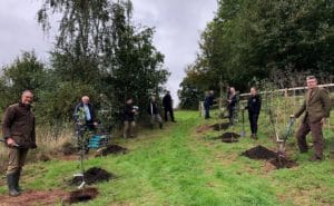 Planting the first trees